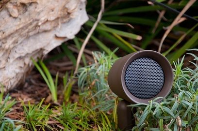 Udendørs højttaler Sonance Sonarray i sort, med rund metalrist, placeret i græsset og de visne blade nær en sten