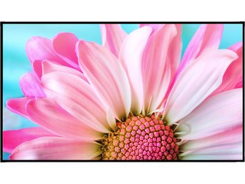 Écran de projection fixe Élysium Screens Edge|One PureView, cadre noir fin, vue de face avec fleur rose affichée