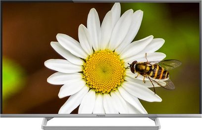 Hvid margueritblomst på brun baggrund, nærbillede set forfra, bi siddende på blomstens gule midte