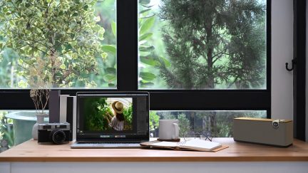 Sülearvuti, arvutiekraan, vanaaegsed fotokaamera ja roheline taim puutöölaual akna ees