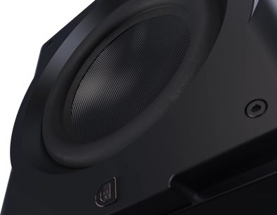 Касон на нискочестотен високоговорител Perlisten R12s, изглед отдолу, текстуриран черен конус, закръглен ръб, видима шестъгълна витка