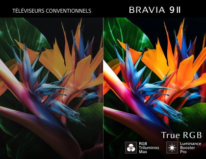 Comparativa de televisores convencionales y Sony Bravia 9 II con una flor tropical de colores más vivos a la derecha