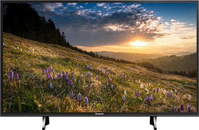 Panasonic TX-65FX600 fladskærms-TV, der viser et bjerglandskab med lilla krokus i forgrunden ved solnedgang