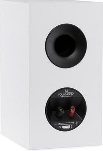 MartinLogan Foundation B1 wit mat