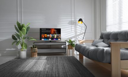 Moderne stue med grå sofa, sort standerlampe, tv på møbel, grønne planter, gråt tæppe, hvide vægge