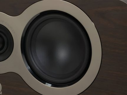 Close-up front view of a speaker, matte black cone surrounded by a satin beige ring, cabinet in veined brown wood veneer