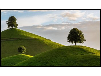 Ecran de proiecție Élysium Screens cu ramă neagră, vedere frontală, afișând dealuri verzi și arbori izolați