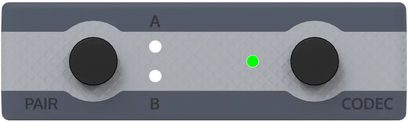 iFi Audio UP Play Max juhtmevaba saatja, hall esipaneel mustade PAIR- ja CODEC-nuppudega, kaks valget ja üks roheline märgutuli