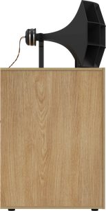 Klipsch kO-R2 Red Oak boekenplankluidspreker, zijaanzicht, licht eikenhouten kast en zichtbare zwarte hoorn