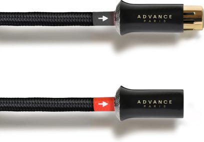 Cable de audio balanceado Advance Paris Link XLR negro con funda de nailon trenzado, conectores metálicos en negro satinado con letras doradas y anillo moleteado en gris acero, indicadores direccionales en gris y rojo, vista lateral en primer plano de los conectores macho de tres pines dorados y hembra abiertos