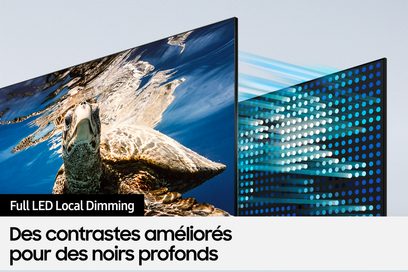 Telewizor Samsung QE55Q80B 2022 wyświetlający kontrastowy obraz zbliżenia głowy żółwia morskiego wynurzającego się z wody