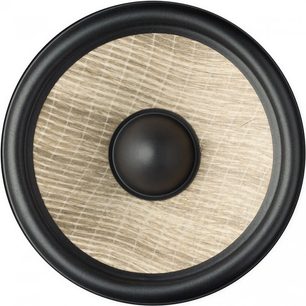 Sort, rund højttaler set forfra, med en beige, tekstureret membran af koncentriske fibre og en sort diskant i midten