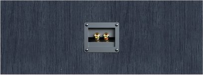 Bagpanel på Elac Debut 3.0 DB62 højttaler i sort, mørkt træ, med indbygget terminalblok med to forgyldte rød/sorte terminaler