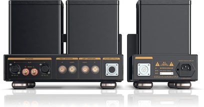 Vista posteriore del preamplificatore per cuffie hi-fi Cayin HA-300MK2 nero, chassis rettangolari in metallo su piedini rotondi, pannello posteriore con prese XLR, RCA, morsetti per diffusori, connettori multipolari e presa IEC