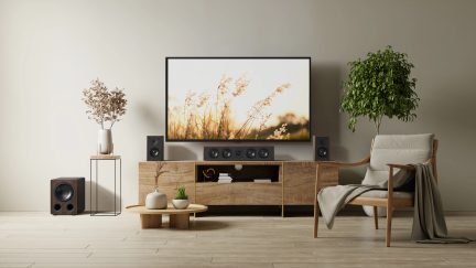 Mobilier din lemn cu televizor montat pe perete, 5 boxe, măsuță de cafea rotundă, vază, plantă verde, fotoliu din lemn cu pernă și pled.