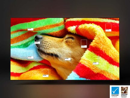 Primer plano de una cubierta multicolor de piel o tela suave que representa un hocico de perro, con anotaciones de colores
