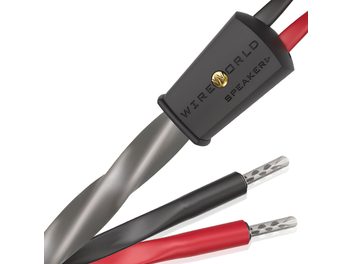 Wireworld Equinox 10 speaker cable with twisted gray sleeve, black and red connectors, and perforated silver metallic tips