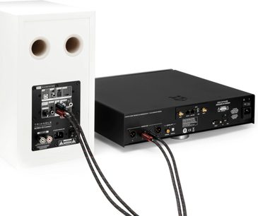 Stereo kabel audio RCA Triangle RED między wzmacniaczem a głośnikiem, czarny oplot z czerwonymi lamówkami