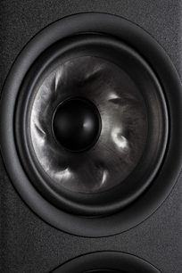 Nærbillede forfra af en mat sort rund højttaler, med konkav membran og konveks central dome