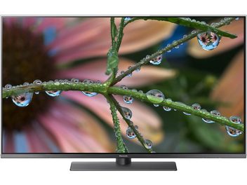 Primo piano di gocce d'acqua su un ramo con foglie verdi, sullo sfondo un televisore Panasonic TX-55FX780
