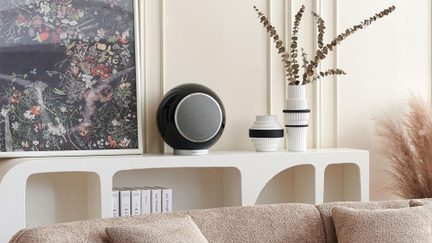 Vista frontale di un diffusore audio sferico nero laccato, con griglia circolare in metallo grigio incorniciata da un anello argentato, posizionato su una mensola bianca