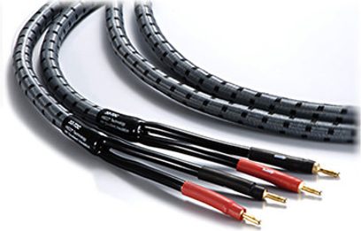 Real Cable 3D-TDC 2X3 M sorte og røde audiokablerne, spiralformet nærbillede, med forgyldte stik i enderne