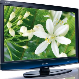 Sharp LC-42DH77E-fladskærm viser et nærbillede af hvide seksbladede blomster mod en baggrund af grønt løvværk