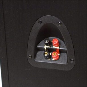 Black speaker enclosure with 4 red and gold connectors on an oval black panel recessed into the rear face