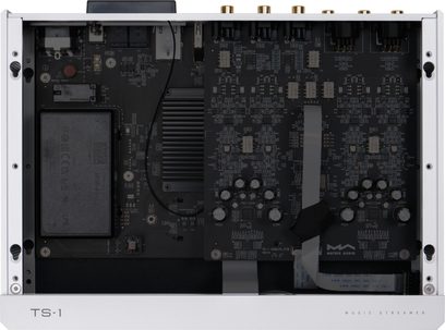 Вътрешен изглед отгоре на мрежовия аудиоплеър Matrix Audio TS-1, сребрист алуминиев корпус с отворена черна електронна платка, разкриваща набразден радиатор, множество цилиндрични кондензатори и ред златни RCA конектори по горния ръб