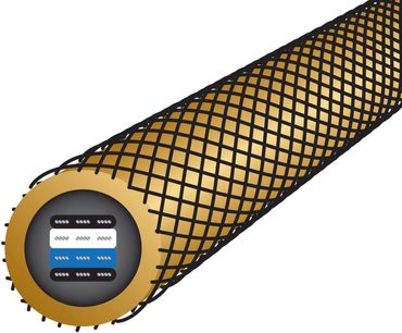0,5 m Wireworld Gold Eclipse 8 analog XLR-lydkabel, sort og guld XLR-stik, sort og gylden flettet kappe