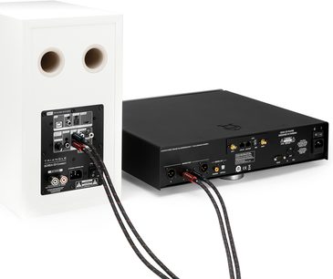 Stereo RCA audio kabelis Triangle RED, 3 m, melns ar sarkanu pinumu, savieno Borea 03 Connect skaļruni ar melnu aizmugures atskaņotāju