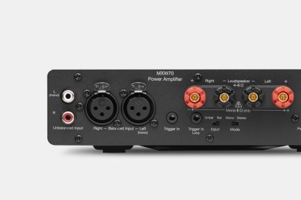 Vista posteriore di un amplificatore audio in metallo nero opaco, con due ingressi RCA bianco e rosso, due connettori XLR, quattro morsetti per diffusori rossi e neri con contatti dorati, una presa jack trigger e piccoli selettori