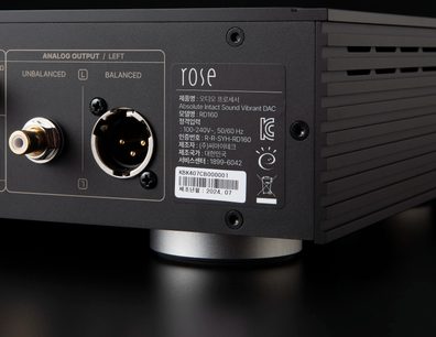 Convertor audio DAC RD160 negru, vedere din spate, conectori analogici stânga, ieșire RCA neechilibrată, ieșire XLR echilibrată, etichetă cu informații