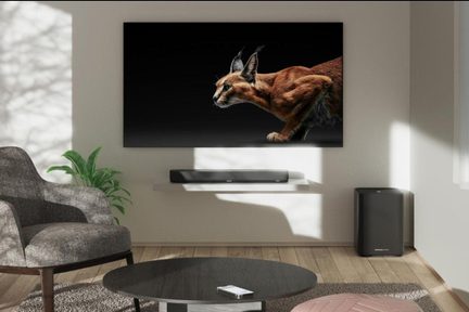 Moderní obývací pokoj s televizí na stěně, obrazem karakala, kulatým konferenčním stolkem, šedým křeslem, zelenou rostlinou, soundbarem a černým subwooferem
