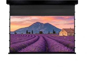 Schermo di proiezione motorizzato Lumene Coliseum Silent UHD 4K Acoustic 300C nero, telo srotolato con paesaggio di lavanda