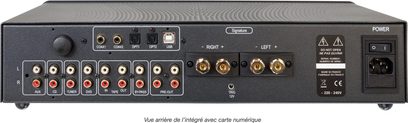 Atoll Elektronique IN100 Signature sudraba hi-fi stereo pastiprinātājs, aizmugures skats, tuvplāns, audio savienotāji un barošanas avots