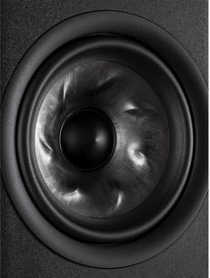 Close-up vooraanzicht van de zwarte Polk Audio R100-luidspreker, met getextureerde zwarte conus en glanzende centrale koepel