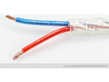 Cablu pentru boxe roșu și albastru Positive Cable Phoenix, manta transparentă, conductori din cupru răsuciți