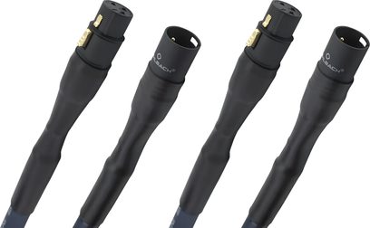 Oehlbach Series 1 analogt XLR-lydkabel i sort plastkappe, lige XLR-stik med guldbelagte kontakter, nærbillede i perspektiv