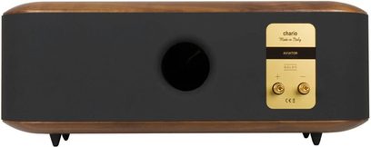 Cassa centrale Chario Aviator Balbo in legno di noce satinato, vista posteriore, pannello antracite con condotto bass-reflex circolare centrale, placca dei morsetti dorata con due connettori e bordi arrotondati su punte nere