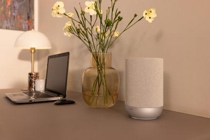 Zylindrischer kabelloser Denon‑Lautsprecher mit beigem Stoff auf modernem Schreibtisch mit Glasvase und Laptop