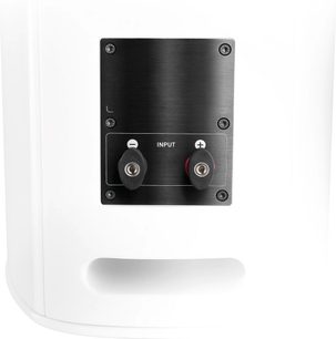 Standlautsprecher Focal Sopra N°3 in hellem Eichenholz, Rückansicht, schwarzes Panel mit 2 Eingangsklemmen, weiße Oberfläche, unterer Bassreflexöffnung