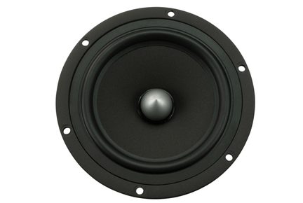 Rund sort højttaler af woofer-type, set forfra, med papirmembran og centralt metalspidse med monteringshuller