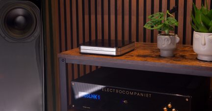 Musta kaiutin, Electrocompaniet-laite, puuhylly, 2 harmaata keraamista ruukkua kasveilla, taustalla puupaneelit