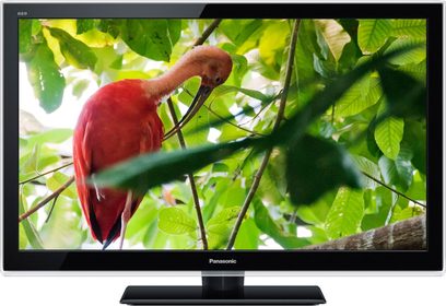 Panasonic TX-L32E5E-tv, der viser en skarlagenrød ibis siddende på en gren i et frodigt, grønt løv