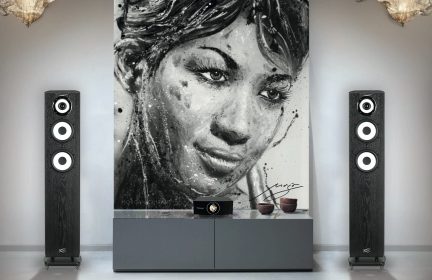 Two black speakers with three white drivers each, a gray cabinet, a black-and-white painting depicting a female face