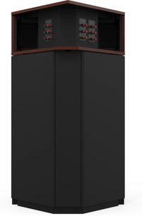 Акустична колонка Klipsch Khorn AK7 у дереві American Auburn, вид ззаду з видимими аудіороз'ємами