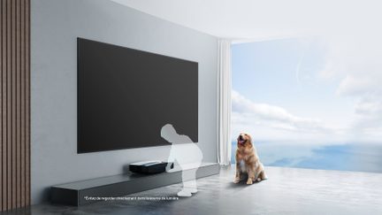TV i sort set forfra i en stue, Golden Retriever hund siddende foran, panoramavinduer med udsigt over blå himmel og skyer