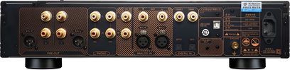 Tonewinner AD1 PRE+ stereo forforstærker set bagfra med forgyldte RCA-tilslutninger, XLR og digitale indgange