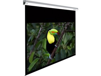 Écran de projection motorisé Lumene Majestic HD 270C affichant un toucan au bec jaune, rouge et bleu perché sur une branche